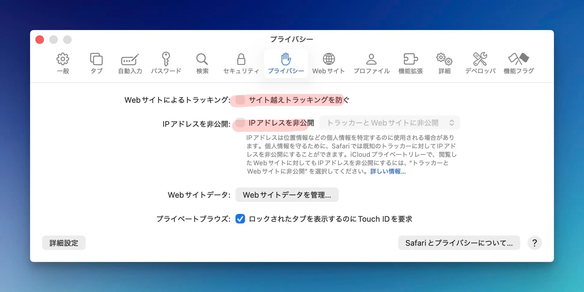 Mac/Safariにおいては，一時的にプライバシー機能を無効にすることが推奨されている