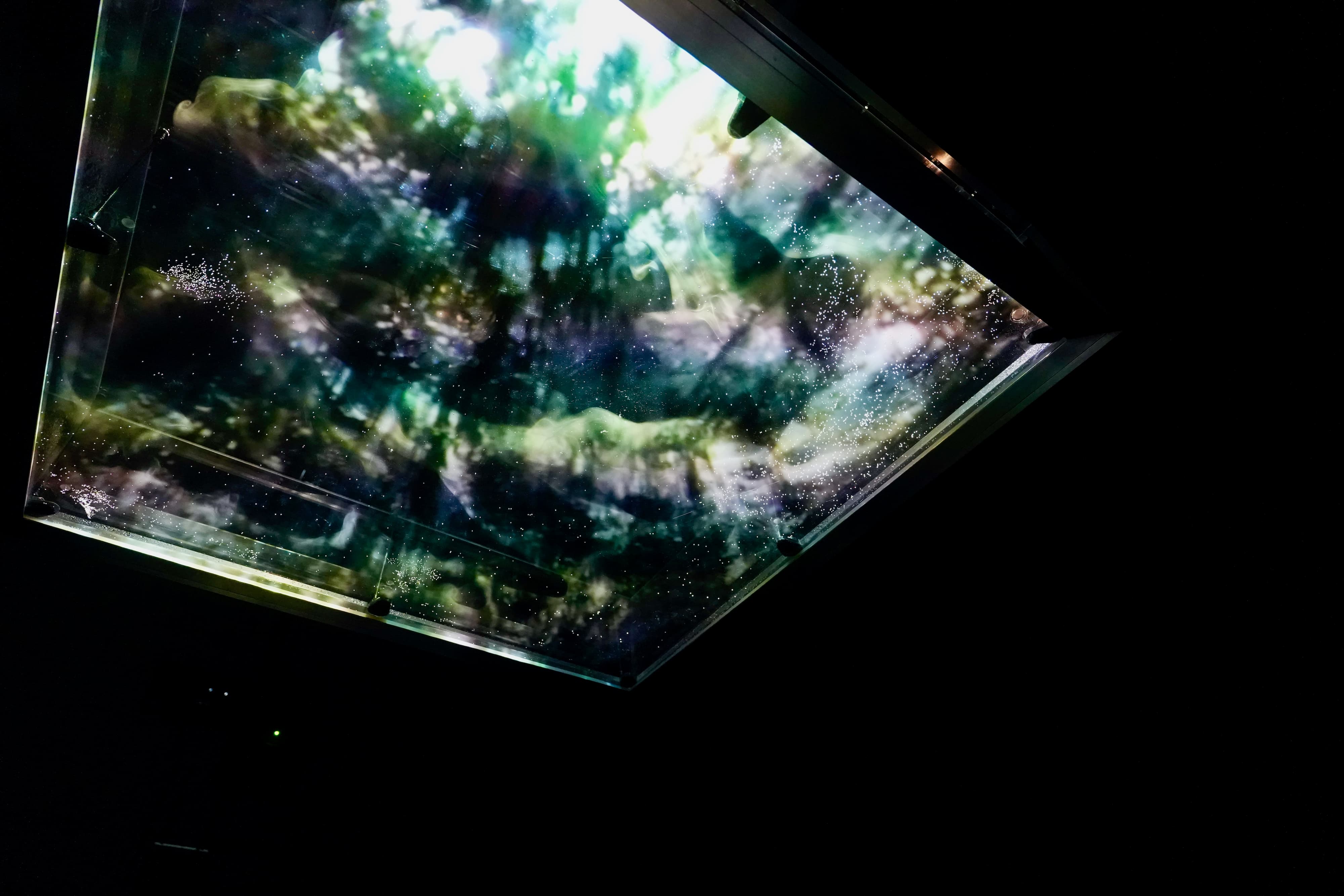 暗闇の中で幻想的に光り輝く、抽象的なアート・インスタレーション。