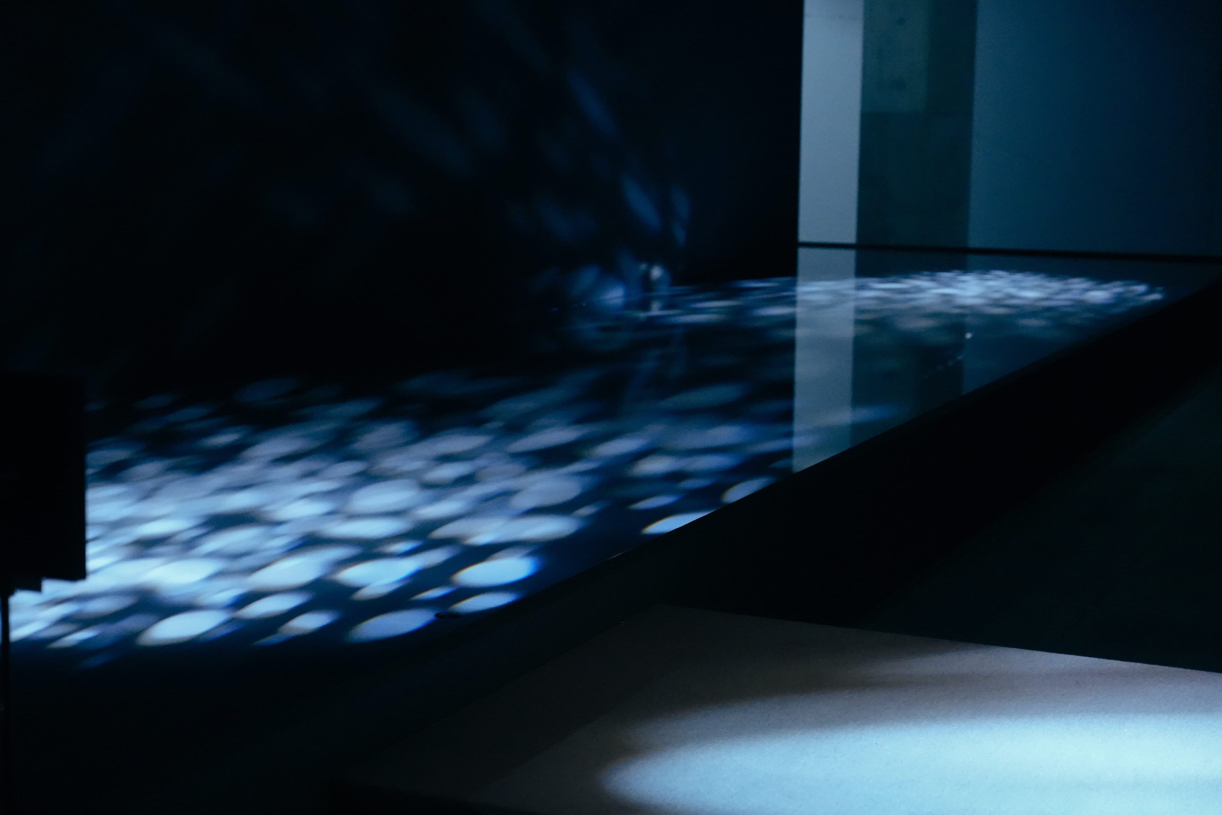 暗所に広がる、青白く丸い光の反射と模様。